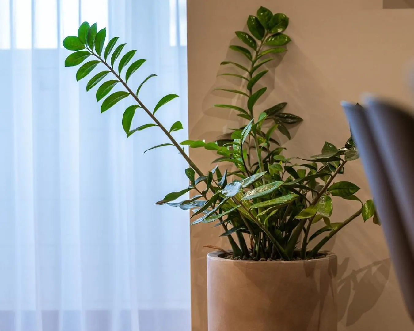 Trabuxu Boutique Living Apartment Valletta